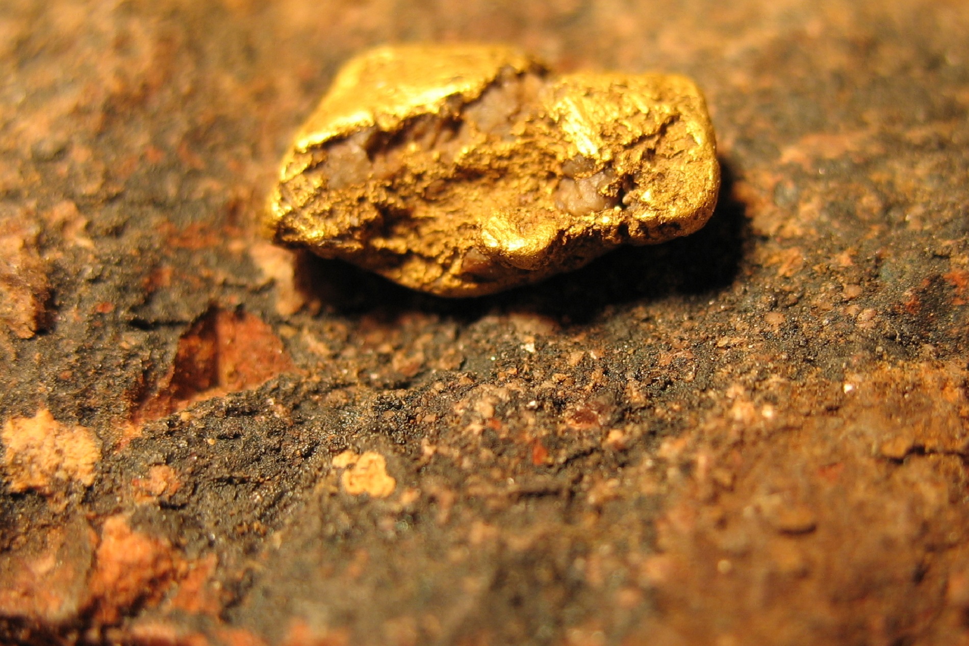 Благородные руды. Золото в природе. Золото необработанное в природе. Золотой самородок в земле. Рудное золото в природе.
