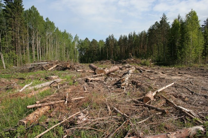 Росгеолфонд карта недропользователей