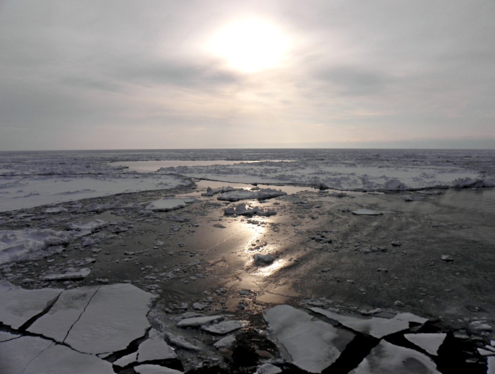 Побережье карского моря фото